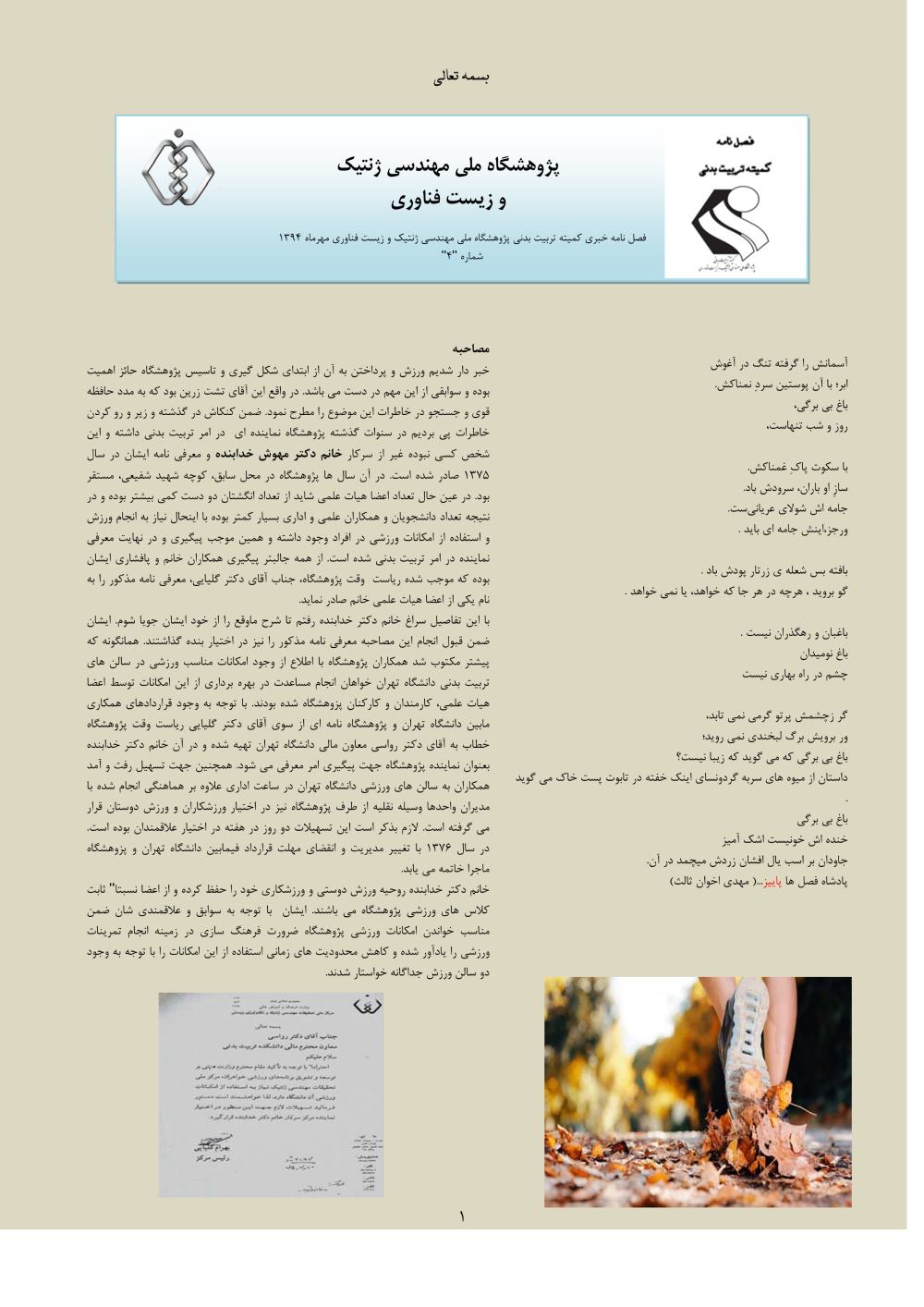 پیش نمایش