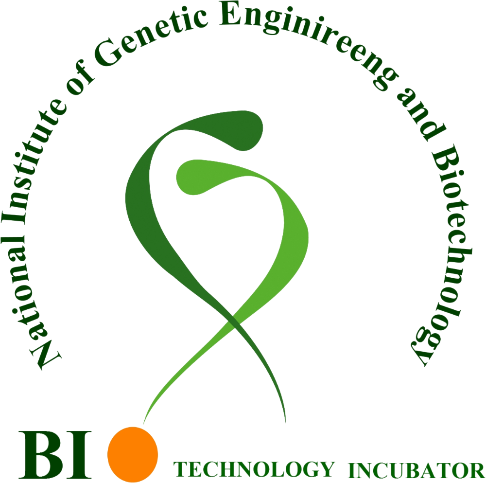 پیش نمایش