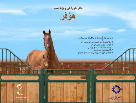 پیش نمایش