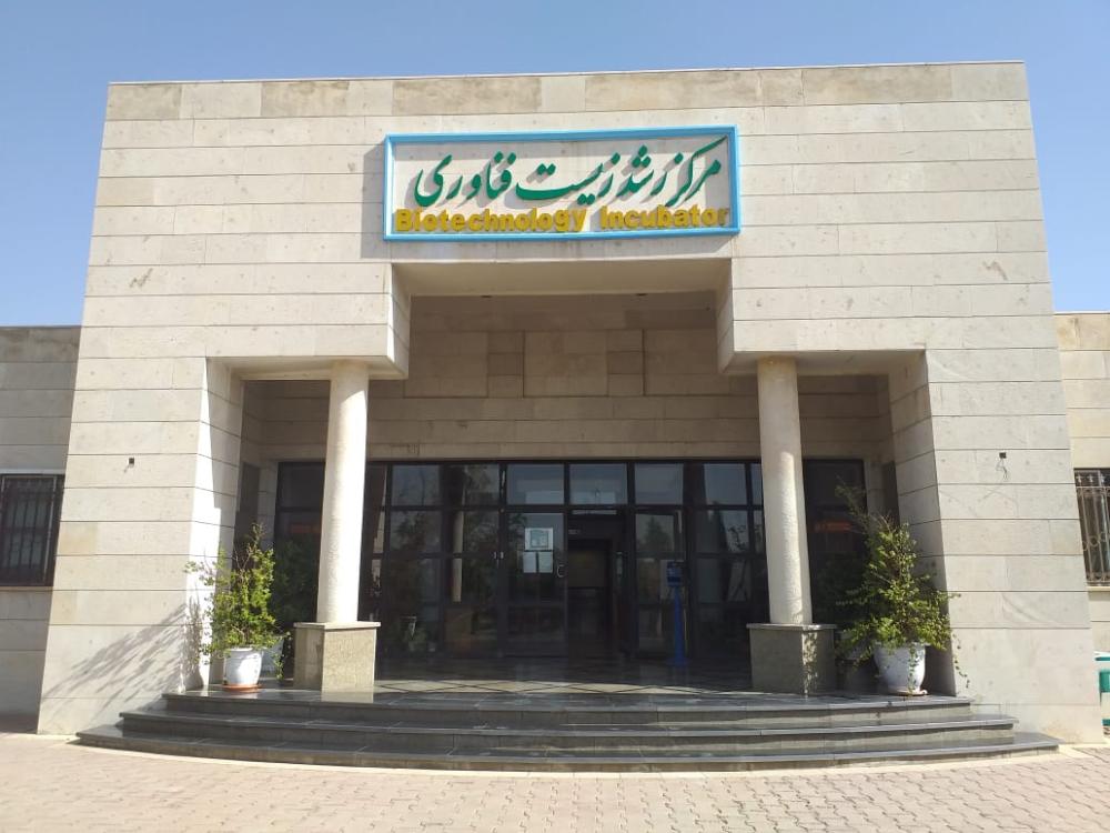 پیش نمایش