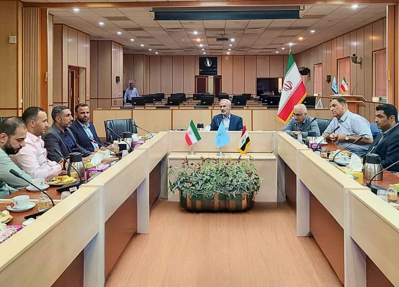 NIGEB and Al-Ameed University Joint Workshop on Medical Biotechnology Held at NIGEB